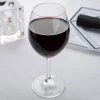 Spiegelau 4028001 Festival 13.5 Oz. Red Wine Glass / Water Goblet - 12/Case