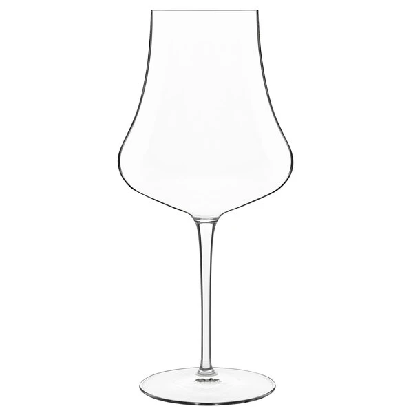 Luigi Bormioli 12502/01 Tentazioni 19.25 Oz. Red Wine Glass - 12/Pack